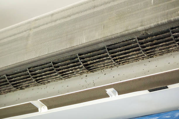 Best HVAC Duct Inspection Services  in Lancaster, TX